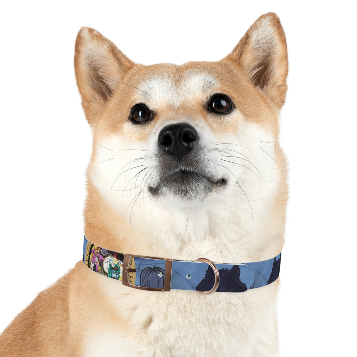 Juno & Icurus Dog Collar