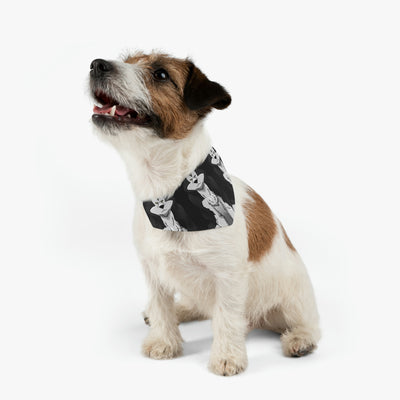 Juno Pet Bandana Collar